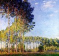 Pappeln am Ufer des Flusses Epte vom Marsh gesehen Claude Monet Wald